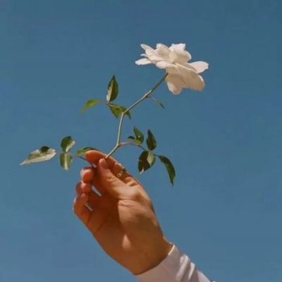球球秒刷程序最新版下载